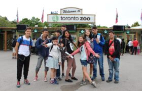Toronto-Zoo-1
